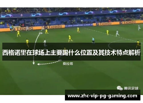西格诺里在球场上主要踢什么位置及其技术特点解析