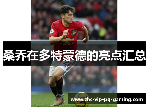 桑乔在多特蒙德的亮点汇总