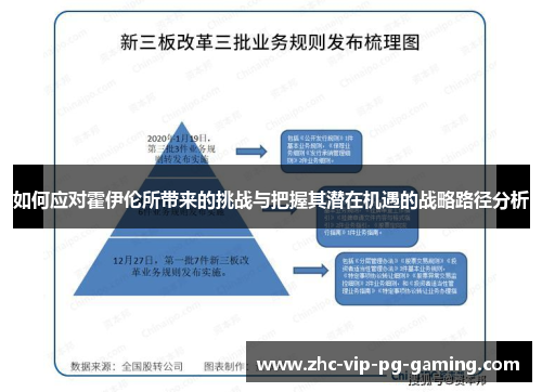 如何应对霍伊伦所带来的挑战与把握其潜在机遇的战略路径分析